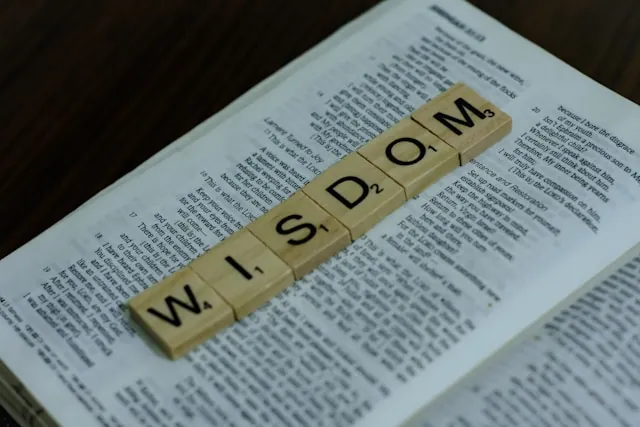 Saturna mission - clarity, compliance and confidence for businesses
